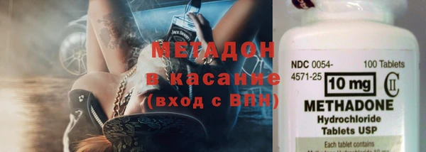 хмурый Аркадак
